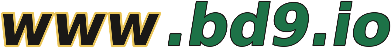 www.bd9.io logo
